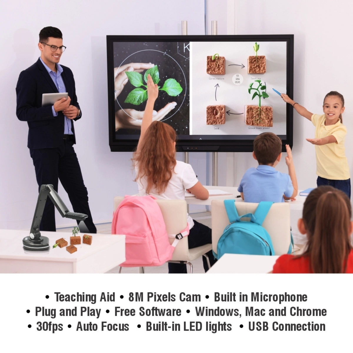 Parrot Visualizer Presenter (Deluxe)