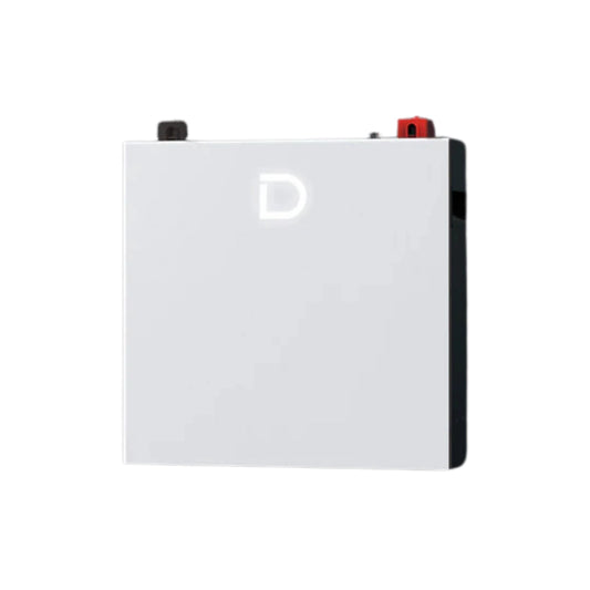 Dyness DL5.0C Pro Lithium Ion Battery 5.12KWH 51.2V 100Ah